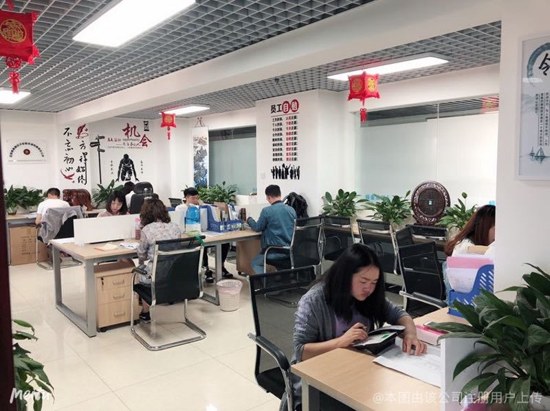 商务策划:精准把握市场脉搏